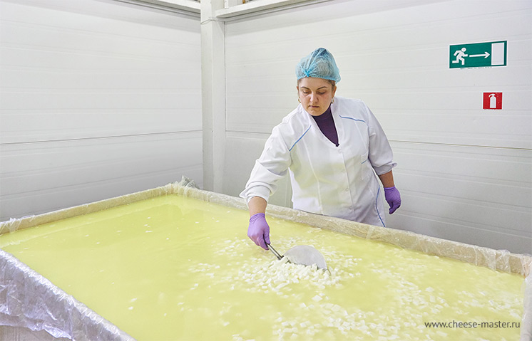 Сыроварня - обсушка сырного зерна