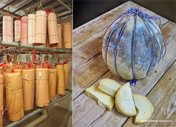 Мега-мастер - твердые сыры