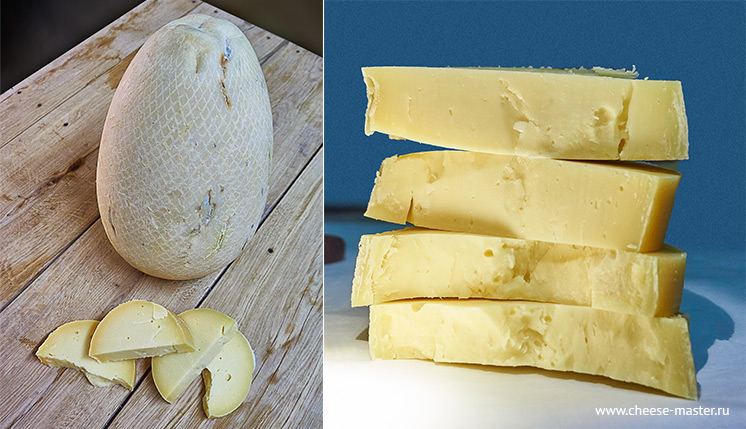 Сыроварня Мега-мастер - сыры