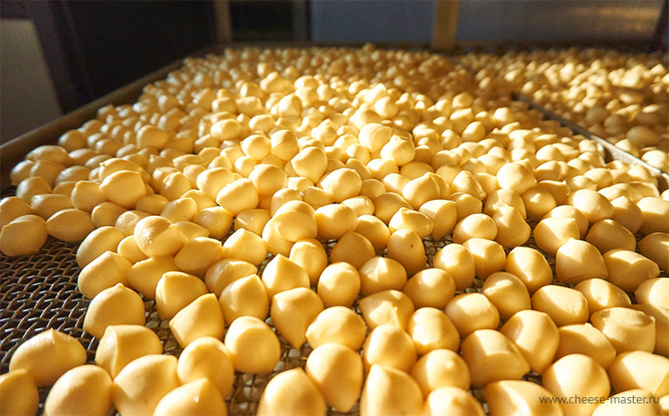 Сыроварня Мега-мастер - копчение сыров