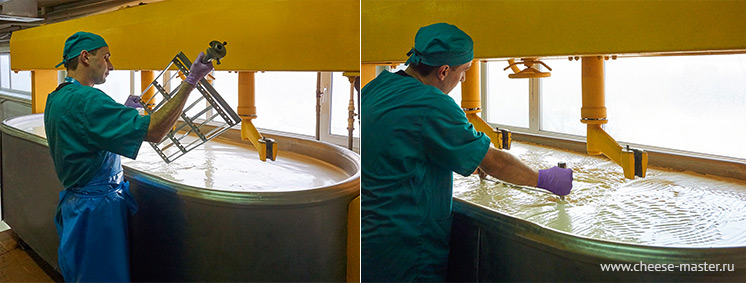 Мега-мастер - разрезание сырного сгустка