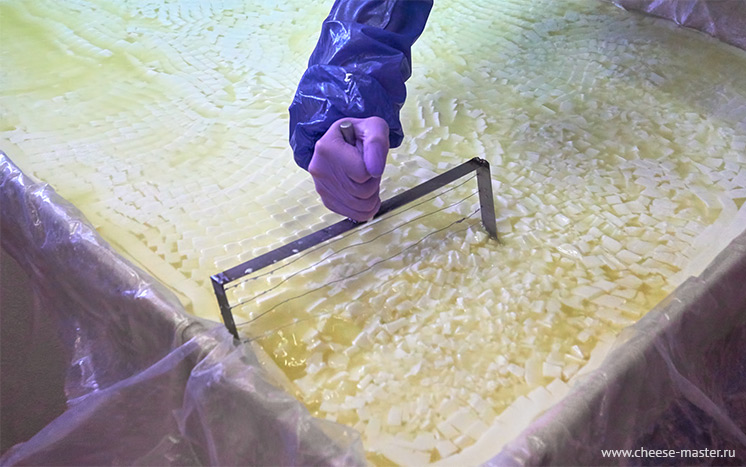 Мега-мастер - сырный сгусток