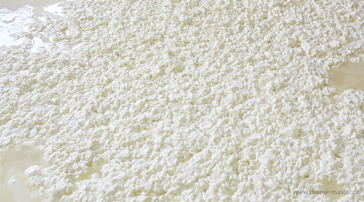 Мега-мастер - сырное зерно