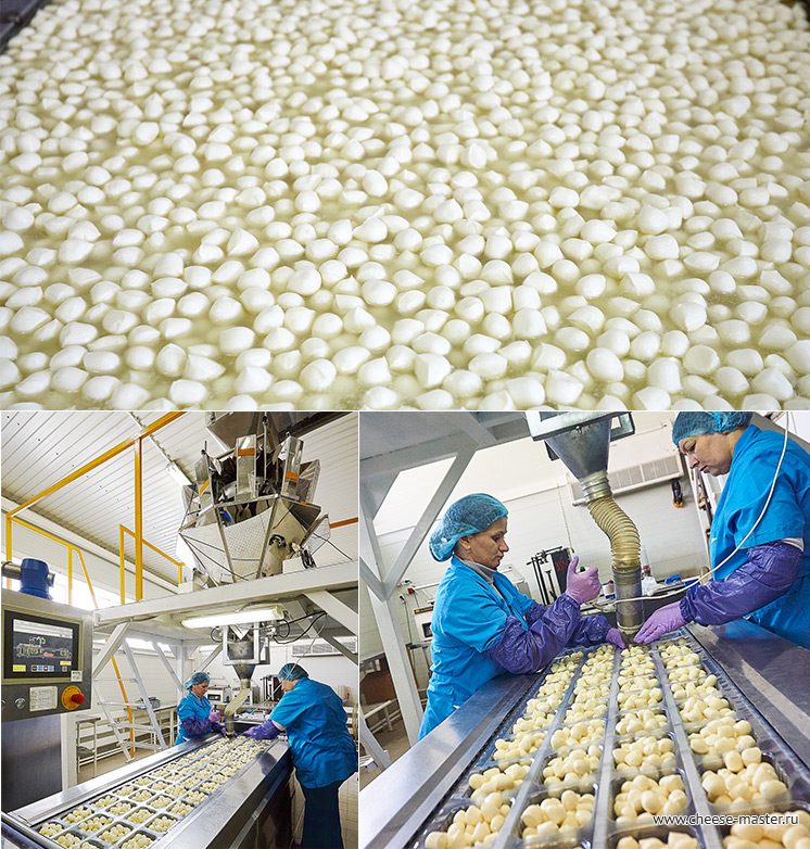 Мега мастер - фасовка сыра скаморца
